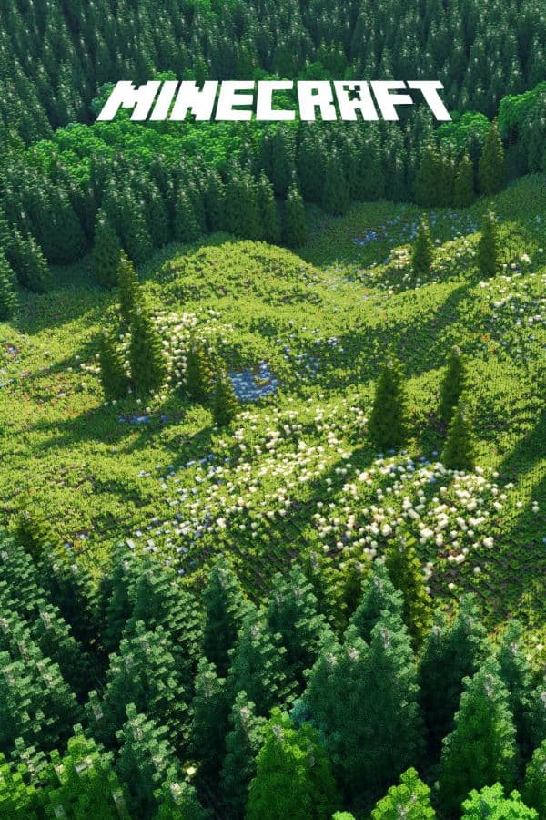 Minecraft cover